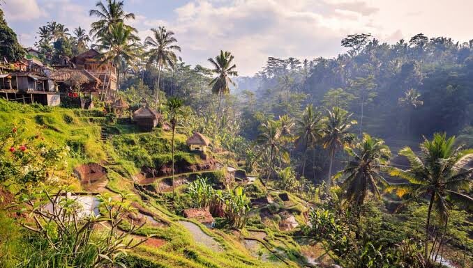 Mengapa Orang Memburu Surga di Tanah yang Gersang?