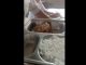 Ngeri Banget, MBG Ayamnya Busuk, Anak-anak Alami Gatal dan Muntah