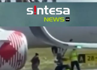 Tragedi Mengerikan! Seorang Pria Tersedot Mesin Pesawat hingga Tewas di Bandara Milan