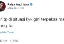 Gambar ILUSTRASI: Tangkapan layar cuitan Raisa tahun 2010