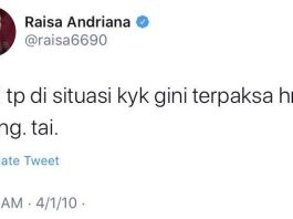 Gambar ILUSTRASI: Tangkapan layar cuitan Raisa tahun 2010