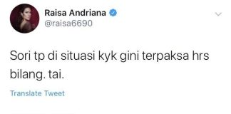 Gambar ILUSTRASI: Tangkapan layar cuitan Raisa tahun 2010