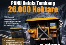 PBNU Dijadikan Boneka Politik Era Jokowi, Pusaran Kasus Tambang