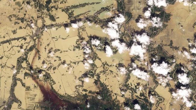 Citra satelit gundulnya hutan di Sumatera Utara.